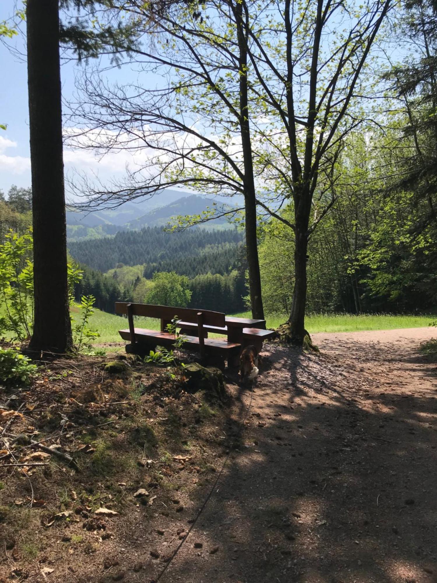 Hesselbach Oberkirch (Baden)
