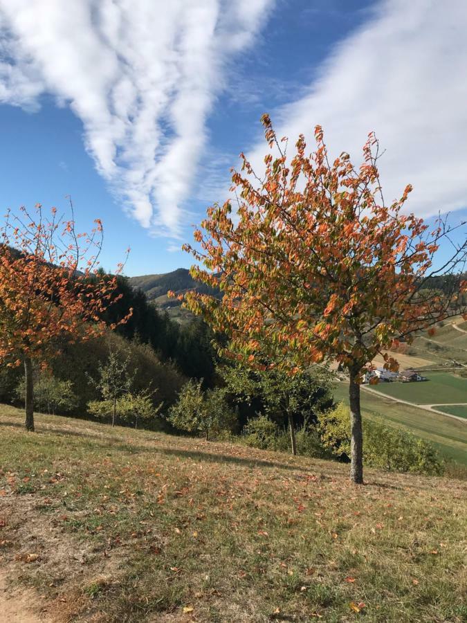 Hesselbach Apartment Oberkirch (Baden)