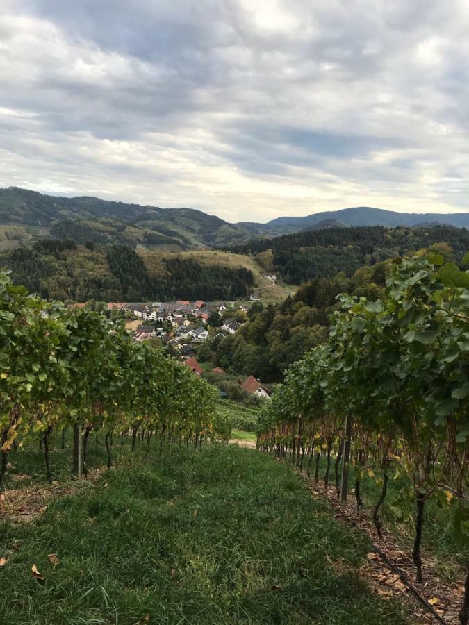 Apartment Hesselbach Oberkirch (Baden)