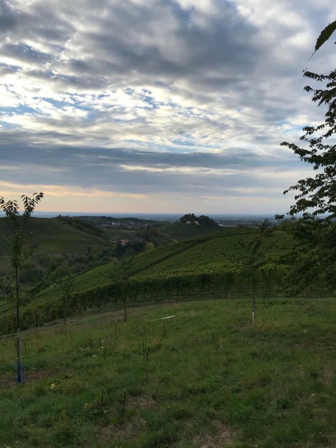 Apartment Hesselbach