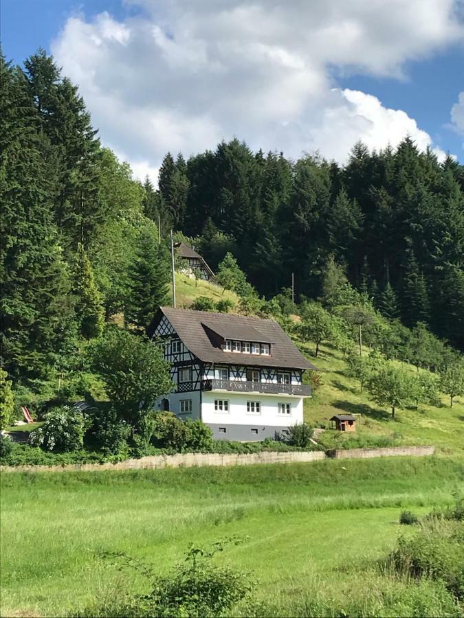 Apartment Hesselbach Oberkirch (Baden)